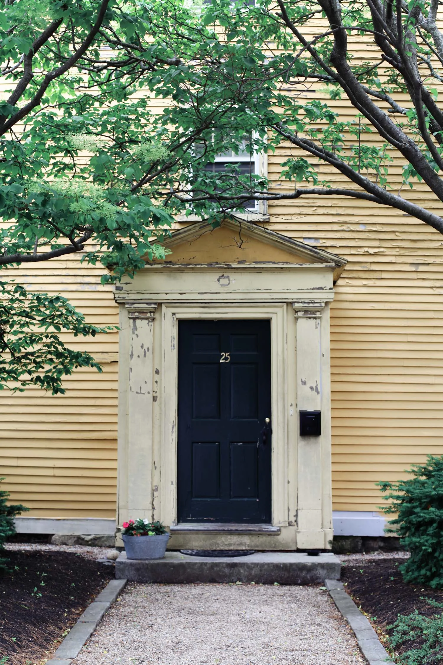 NewEngland_JessieWebster_02.jpg