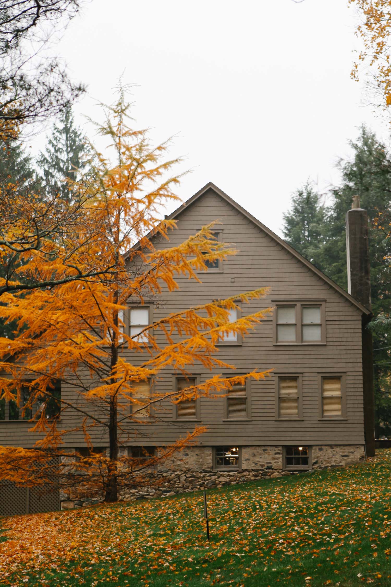 PJGlassHouse_JessieWebster_01.jpg