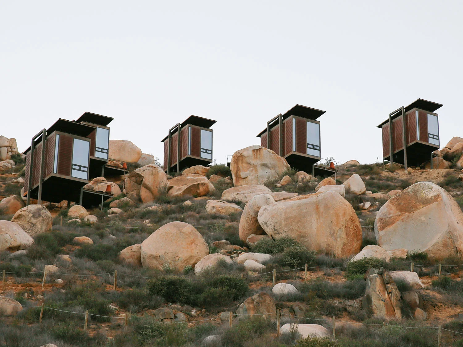EncuentroGuadalupe_Edit_12262015_01.jpg