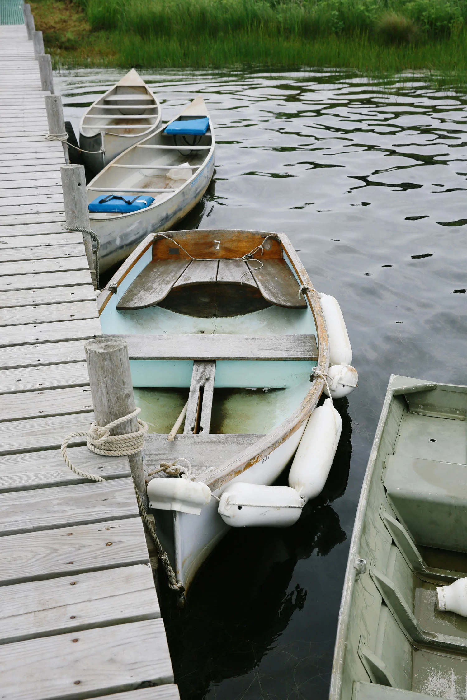 MV_30.jpg