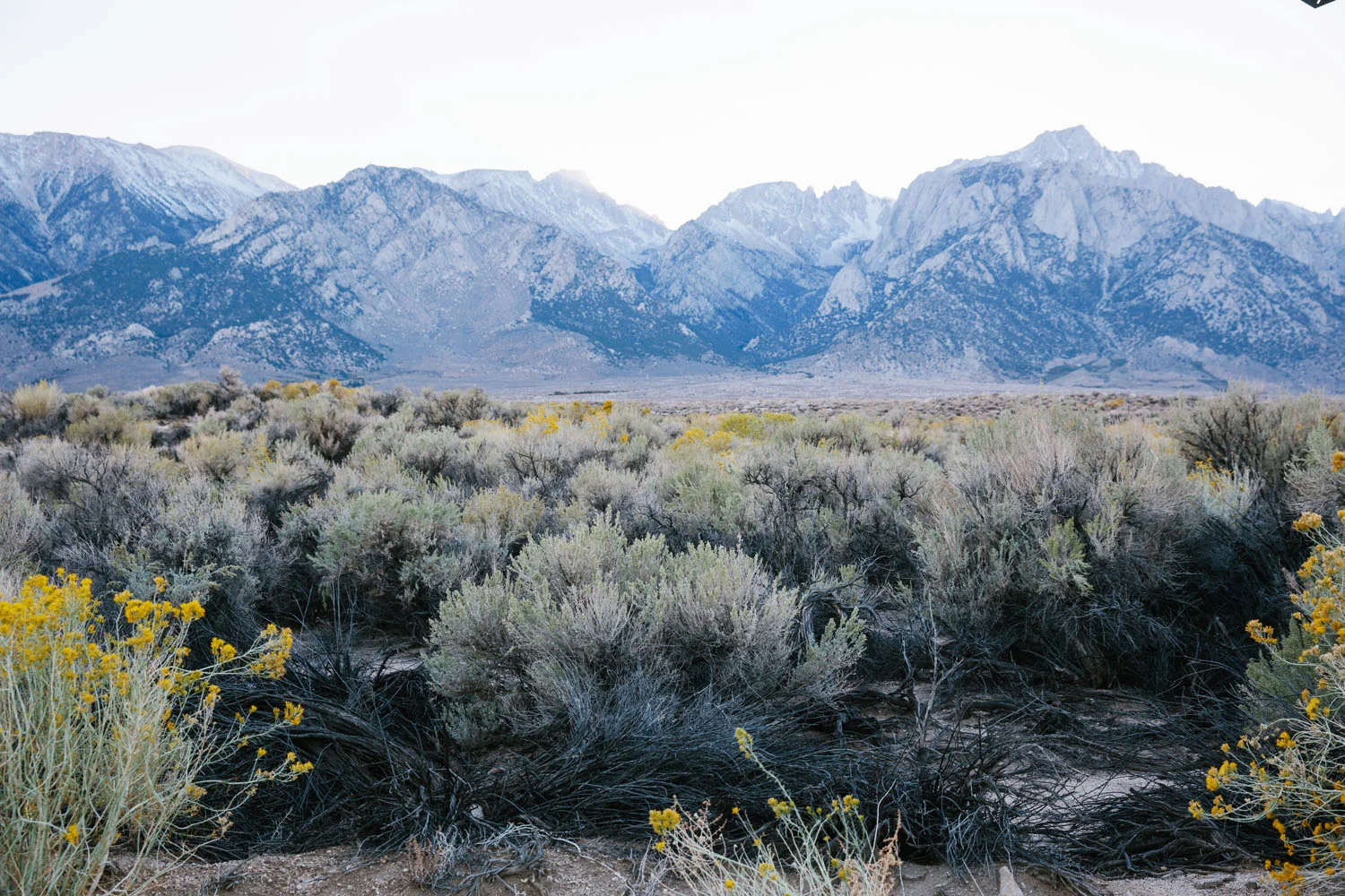 EasternSierras_10102015_1594.jpg