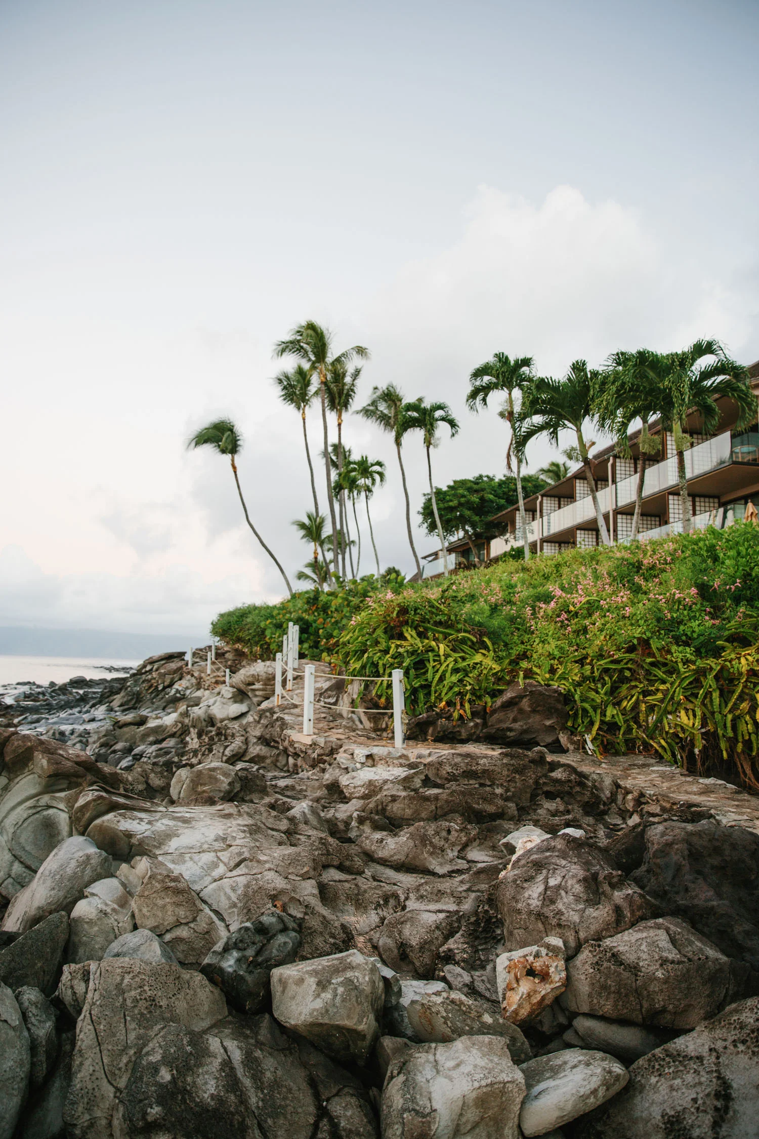 JessieWebster_Hawaii_0300.jpg