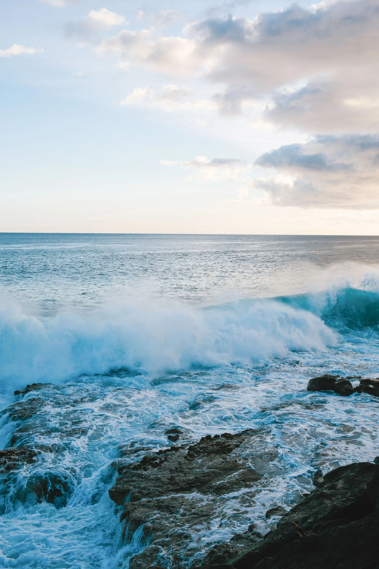 JessieWebster_Hawaii_0329.jpg