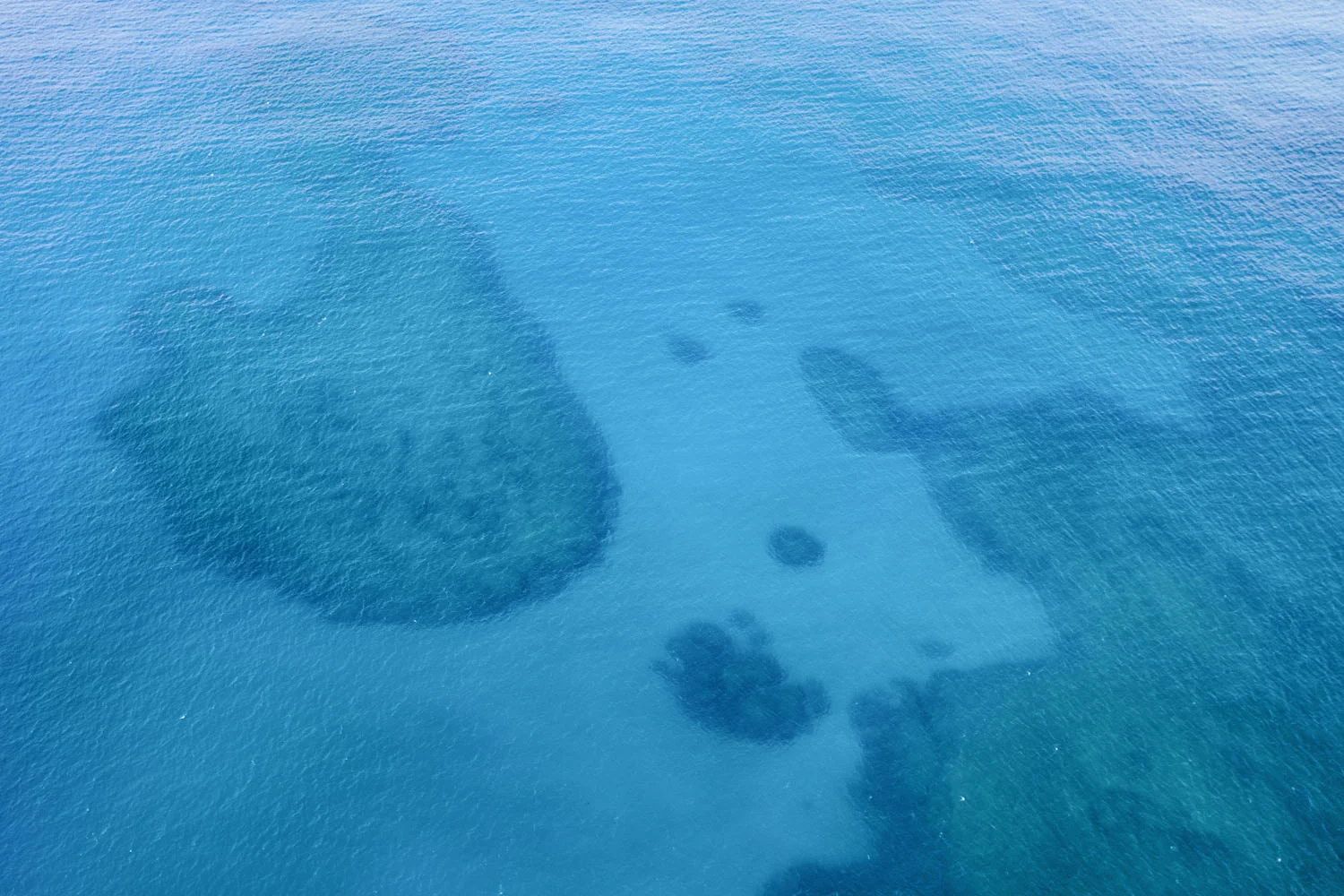 JessieWebster_Hawaii_0564.jpg