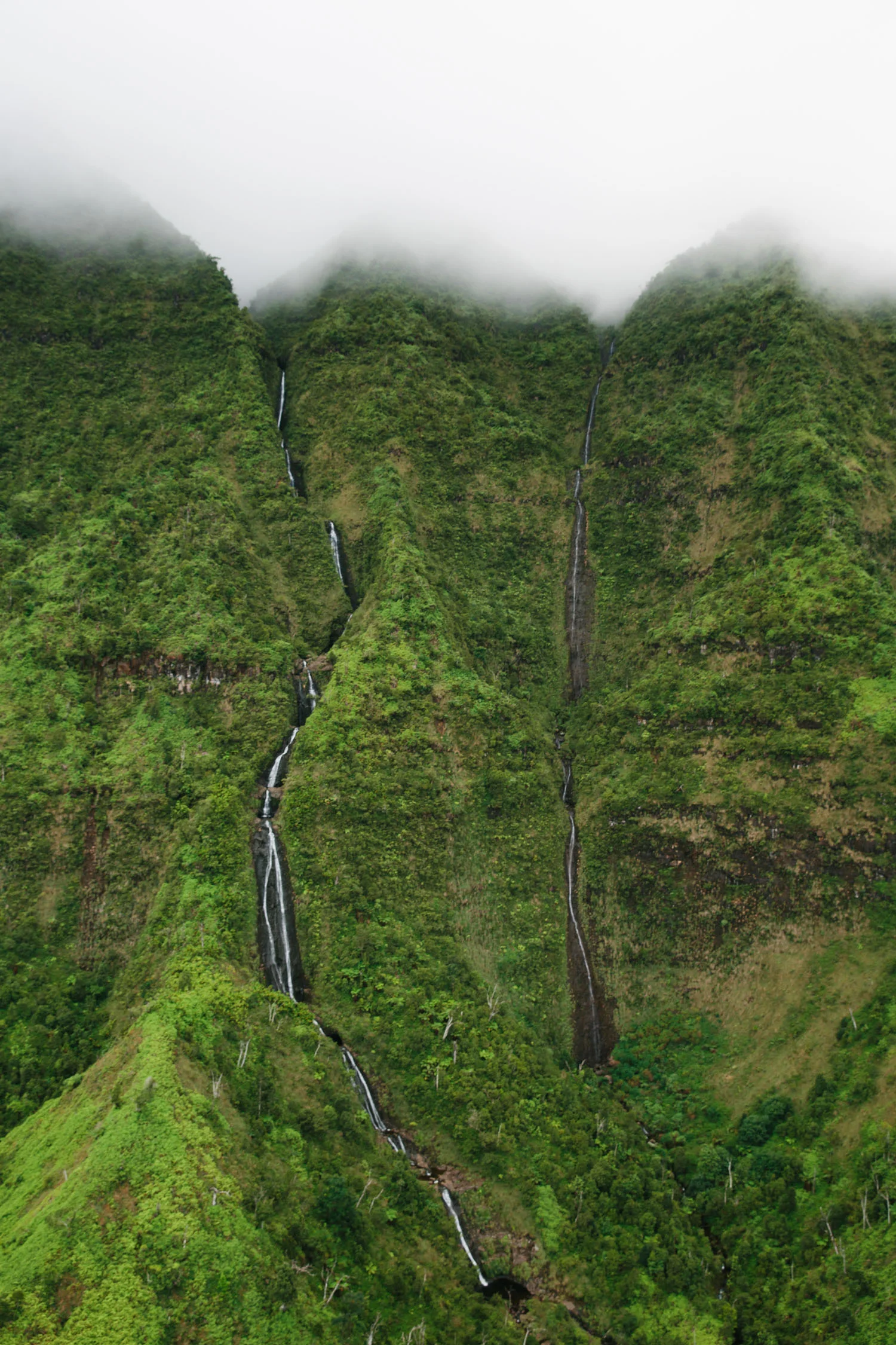 JessieWebster_Hawaii_0577.jpg