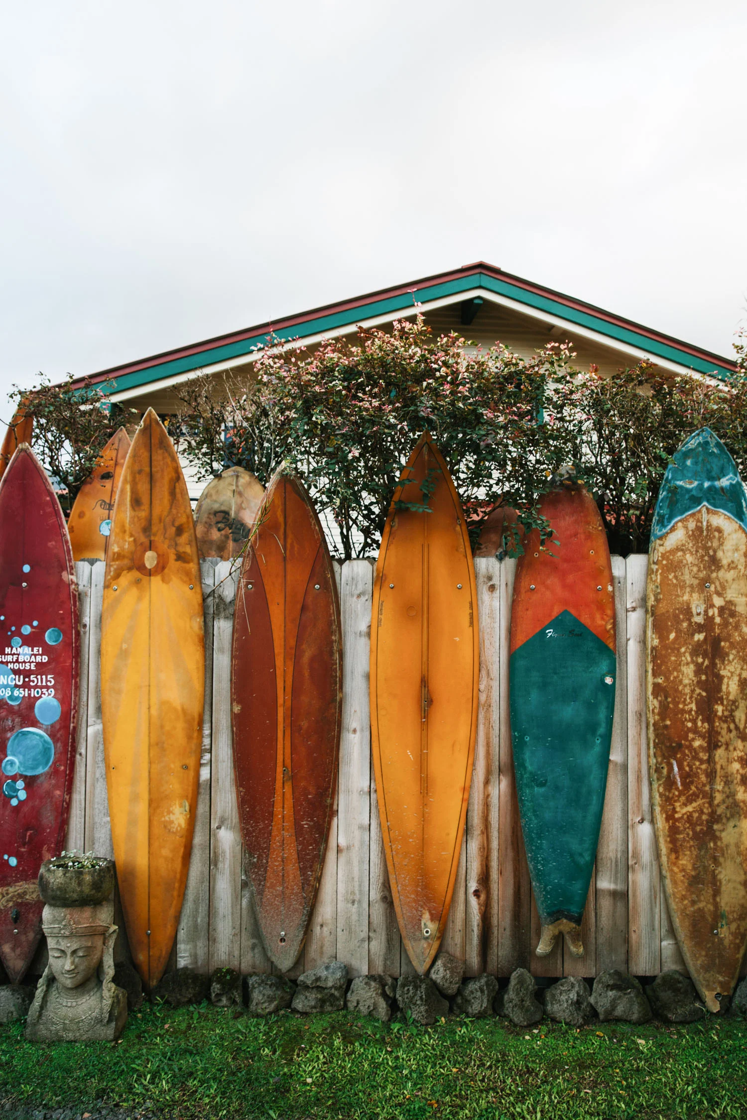 JessieWebster_Hawaii_0658.jpg