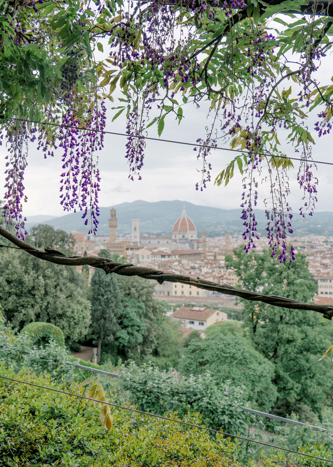 Florence_05042018_125.jpg
