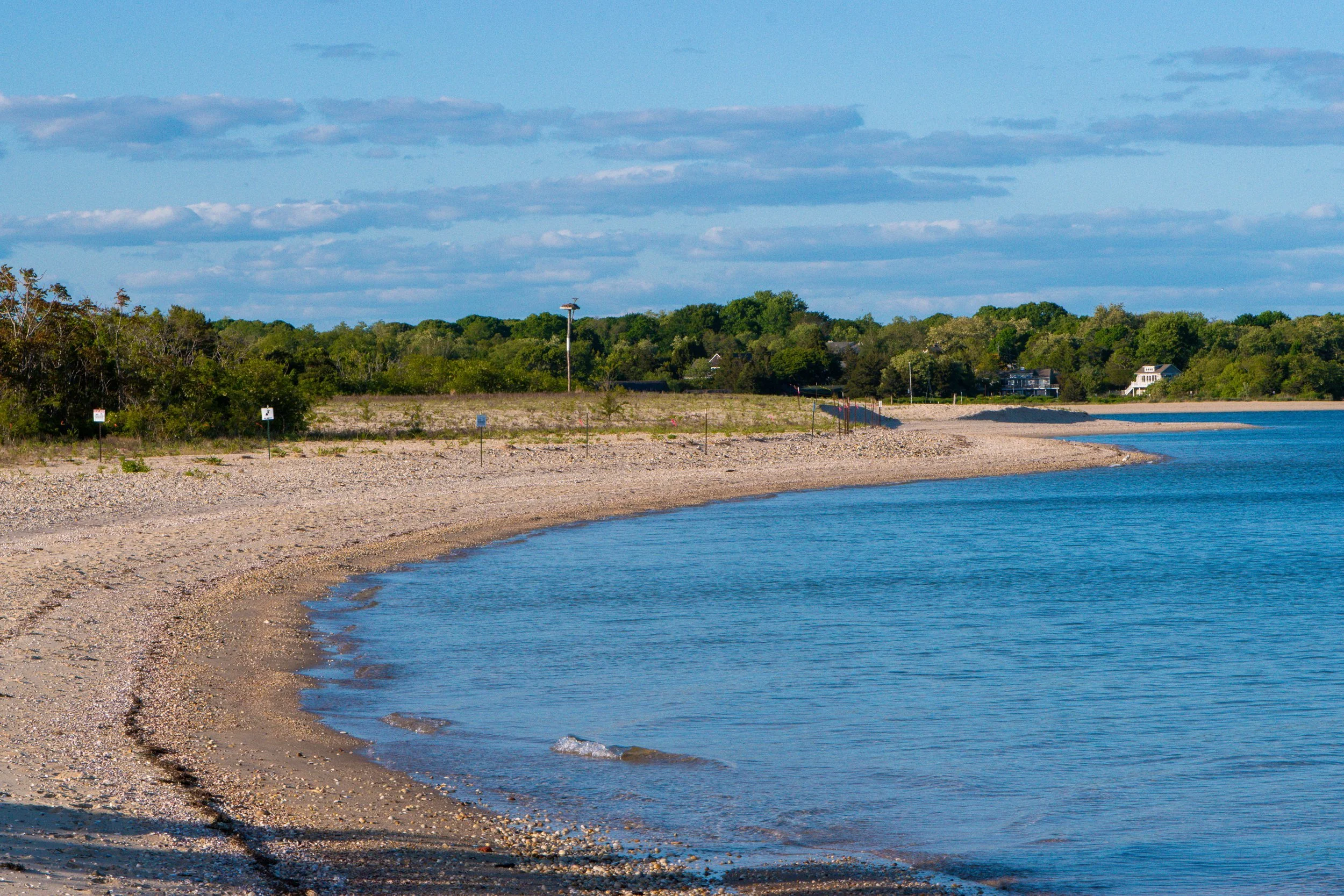 5. Shell Beach