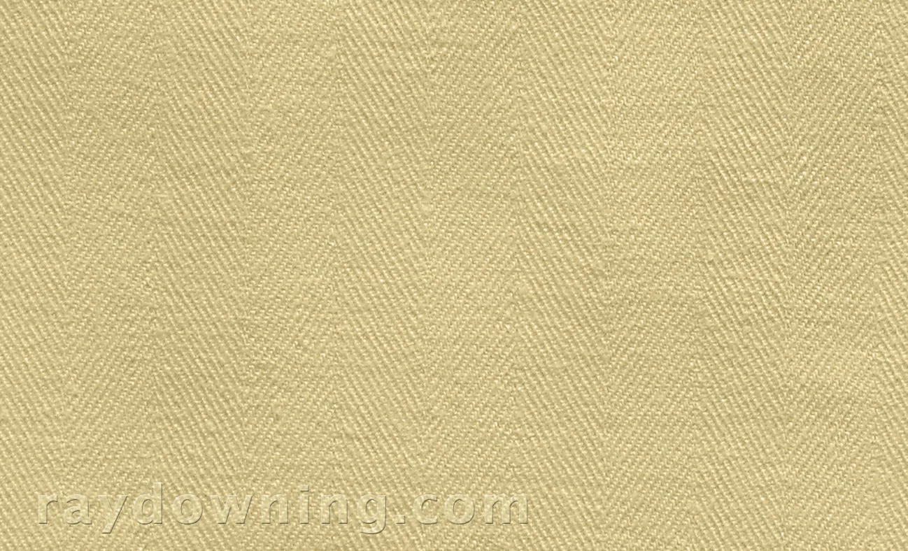Shroud of Turin weave Ray Downing.jpg