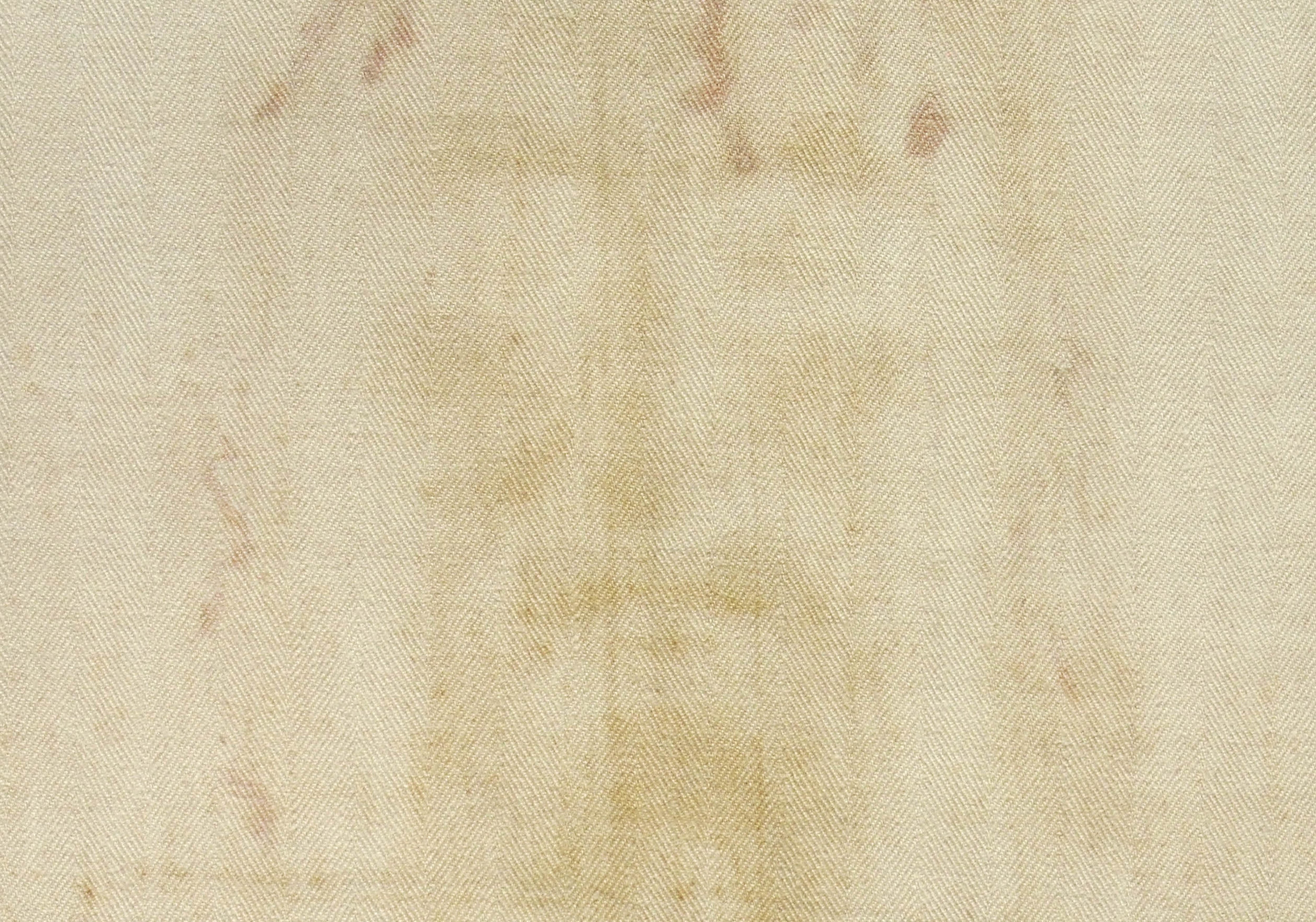 Shroud of Turin Blood Sweat Analysis
