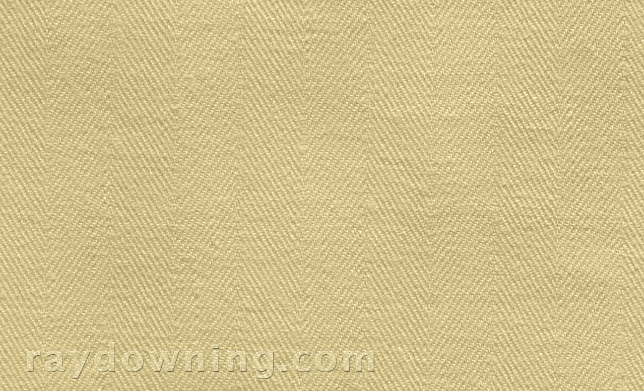 Shroud of Turin weave Ray Downing.jpg