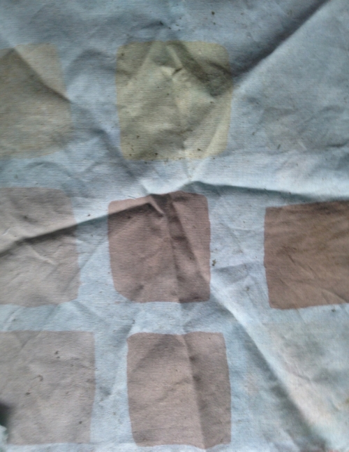 Cotton sample with different mordants- notice that the colour comes out best on unmordanted cotton!