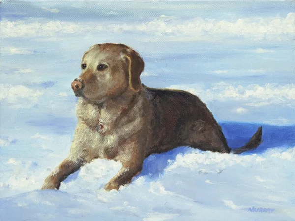 Yellow Lab.jpg