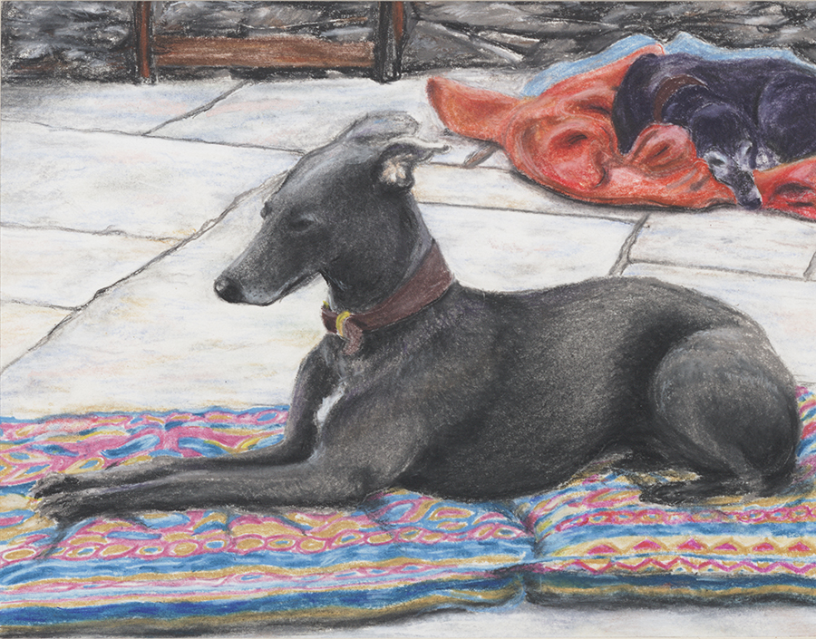 Lounging Whippets   11 x 14 pastel