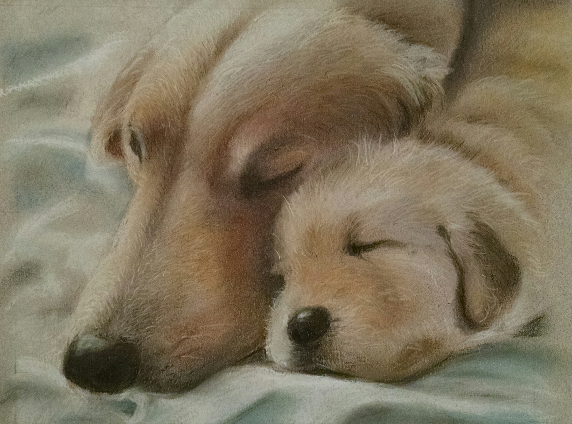 Mom and Pup, 8 x 10 pastel