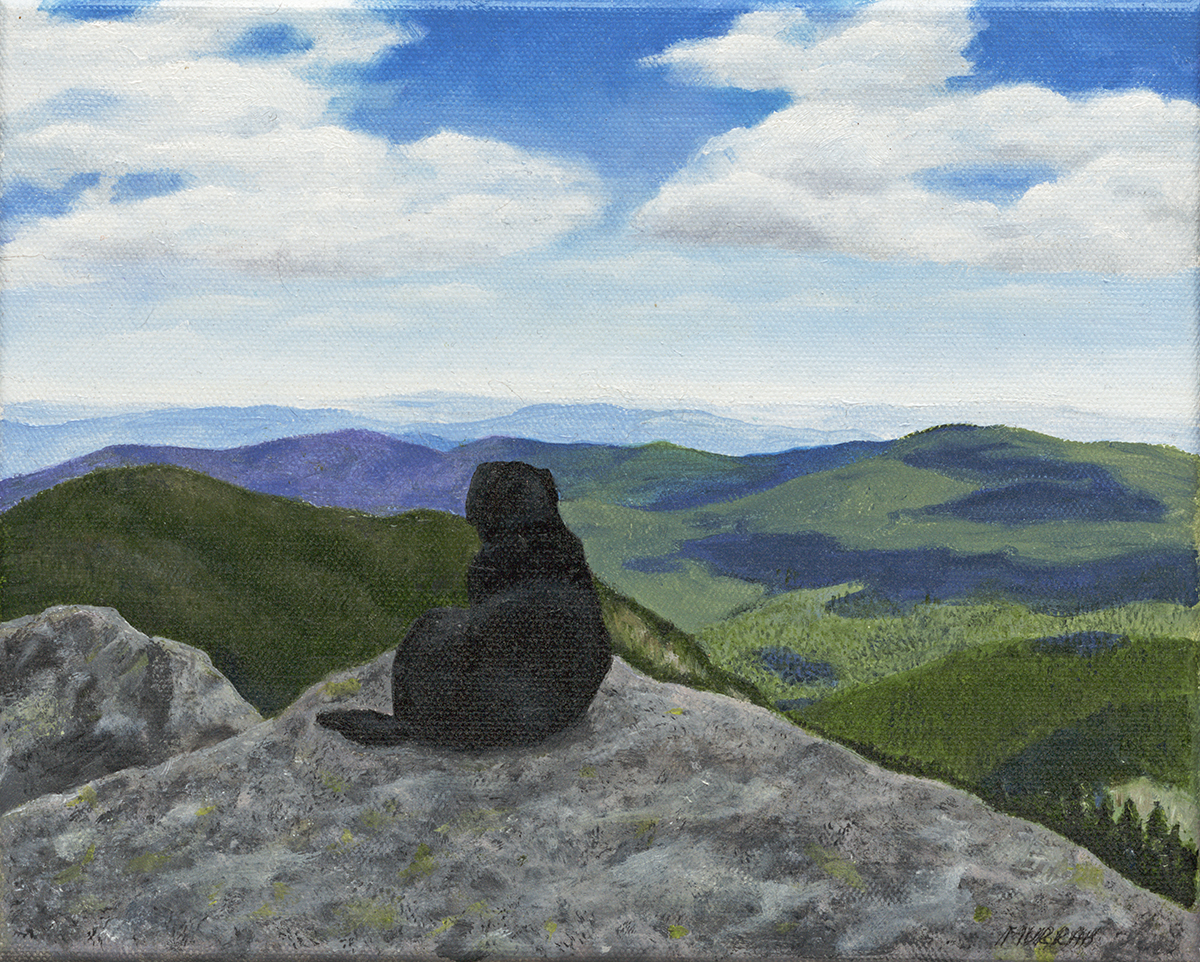 Lucky on Mt. Mansfield  8x10 oil painting