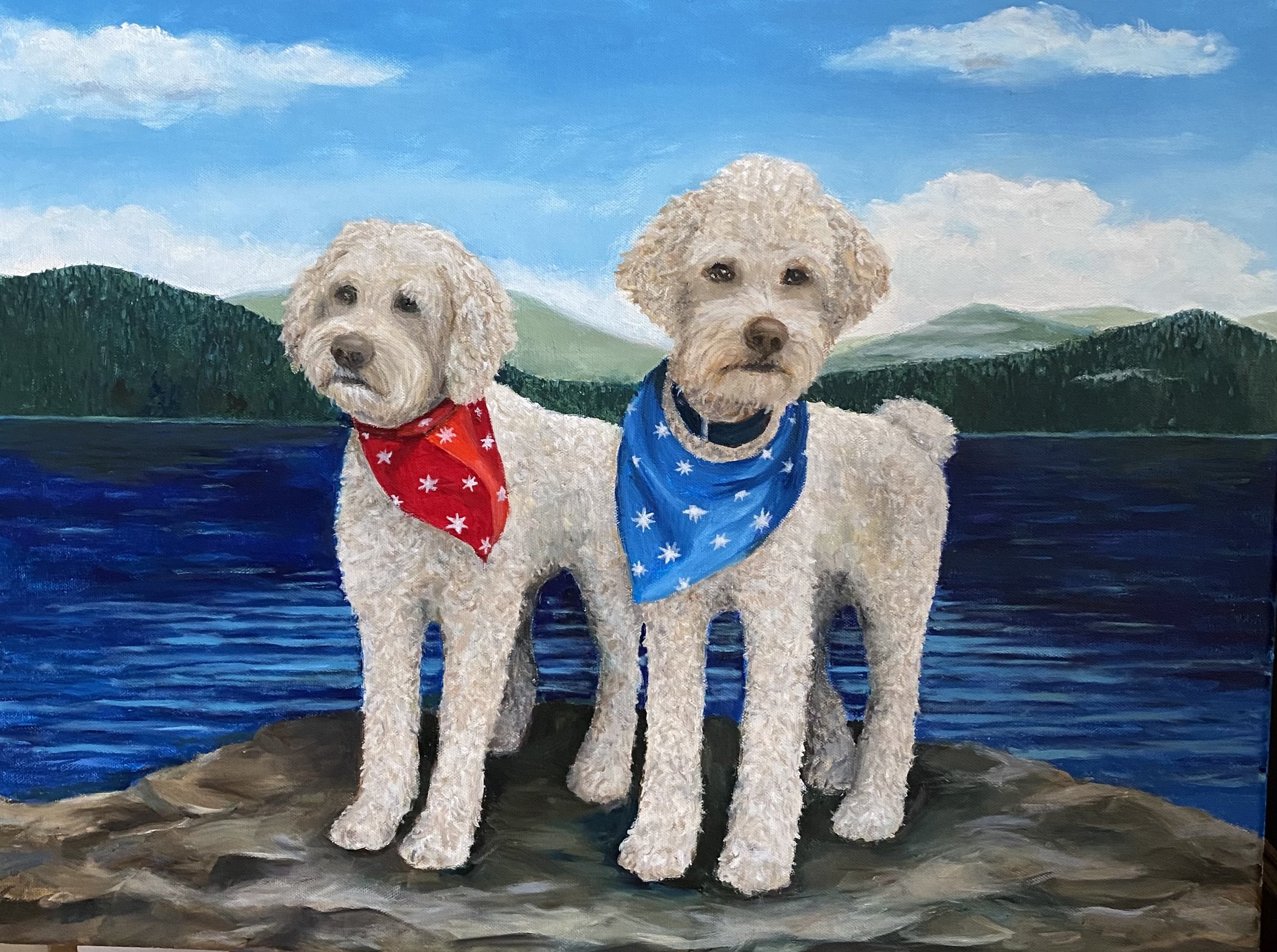 Stanley and Dakota the Labradoodles of the Lake!
