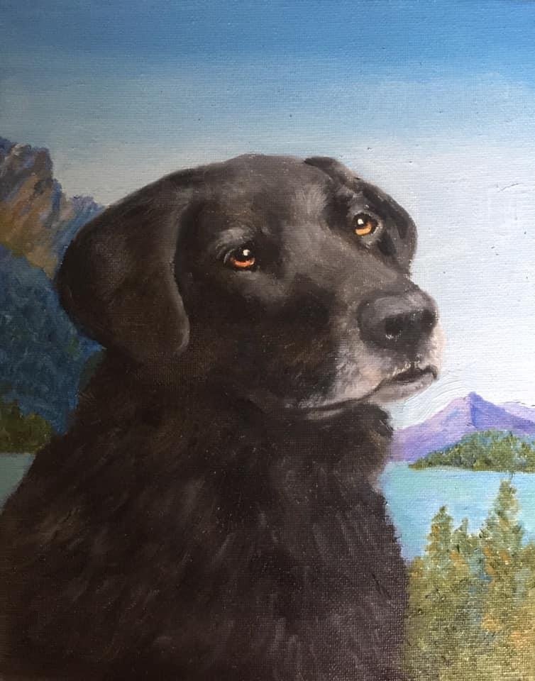 Mountain Labrador