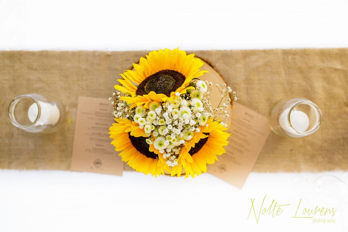 sunflowers-4.jpg