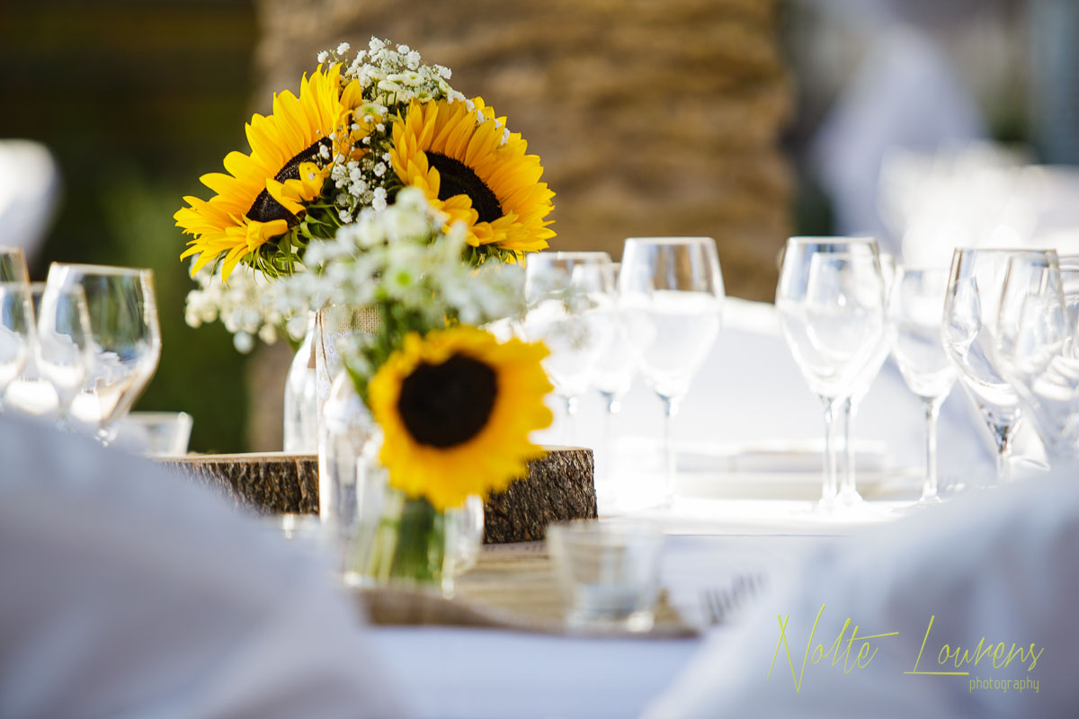 sunflowers-5.jpg