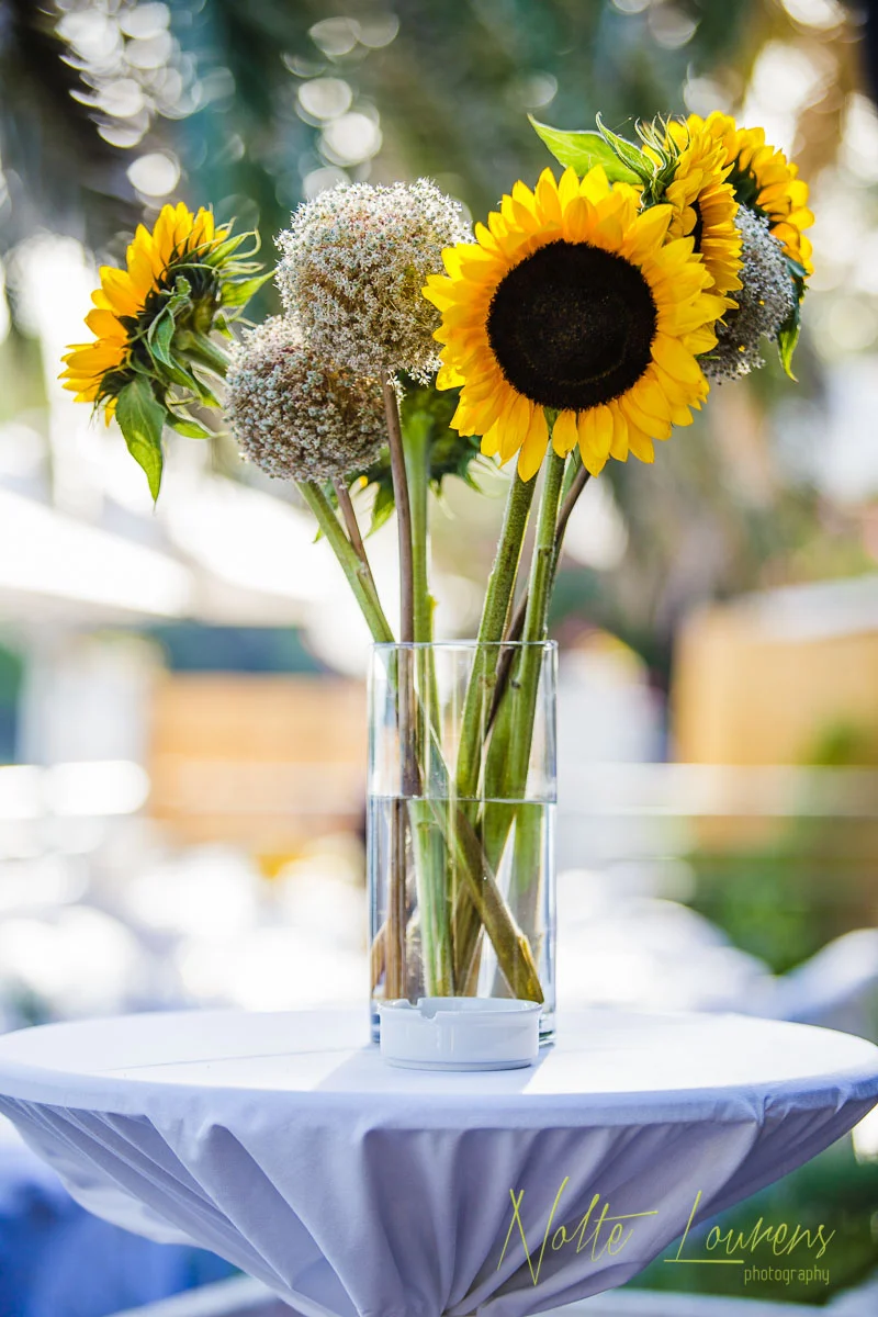 sunflowers-6.jpg