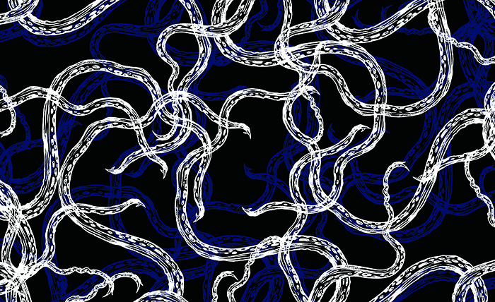 A pattern that I made for the inside cover!