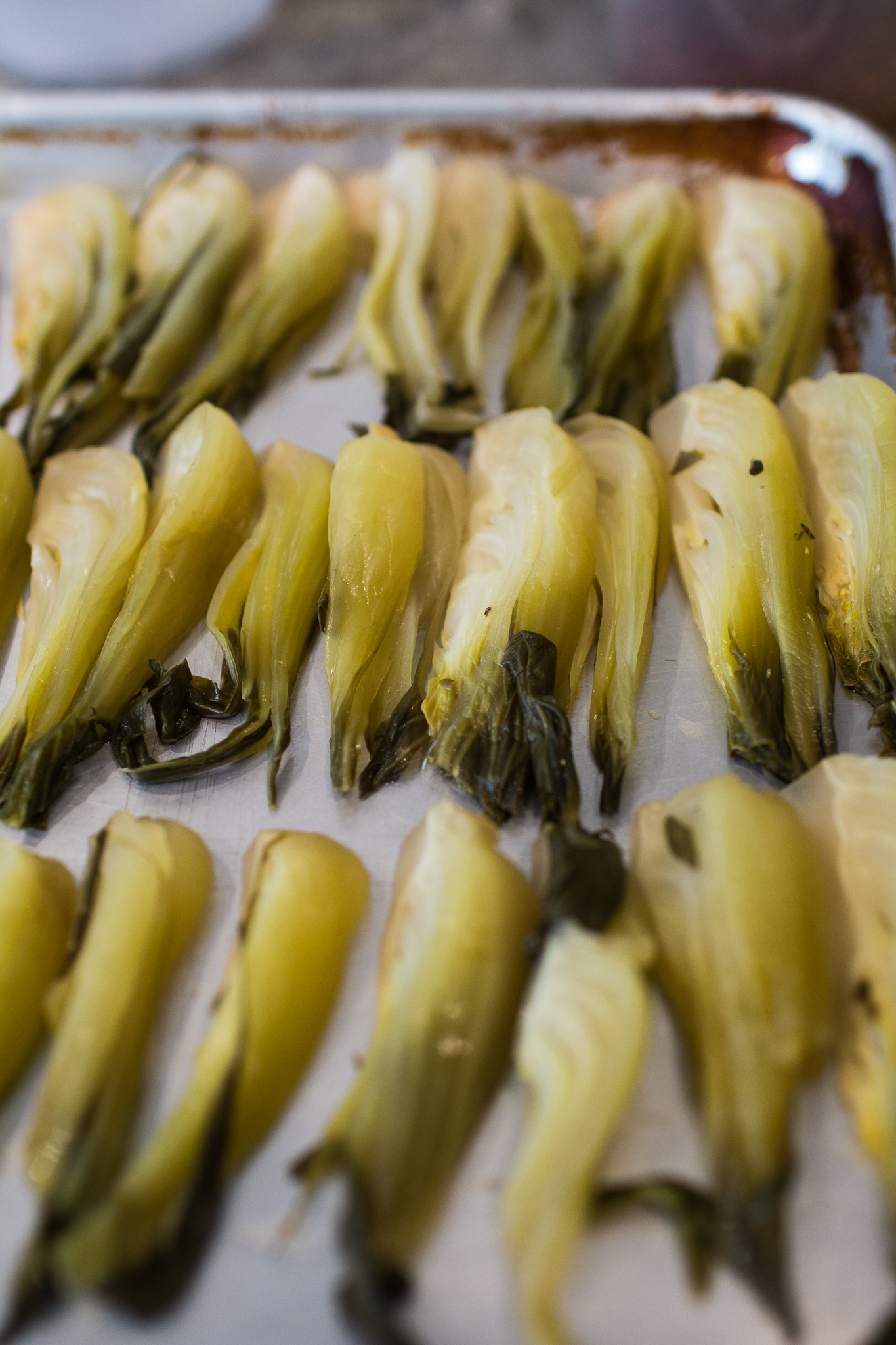 PG Garden Dinner-19.jpg