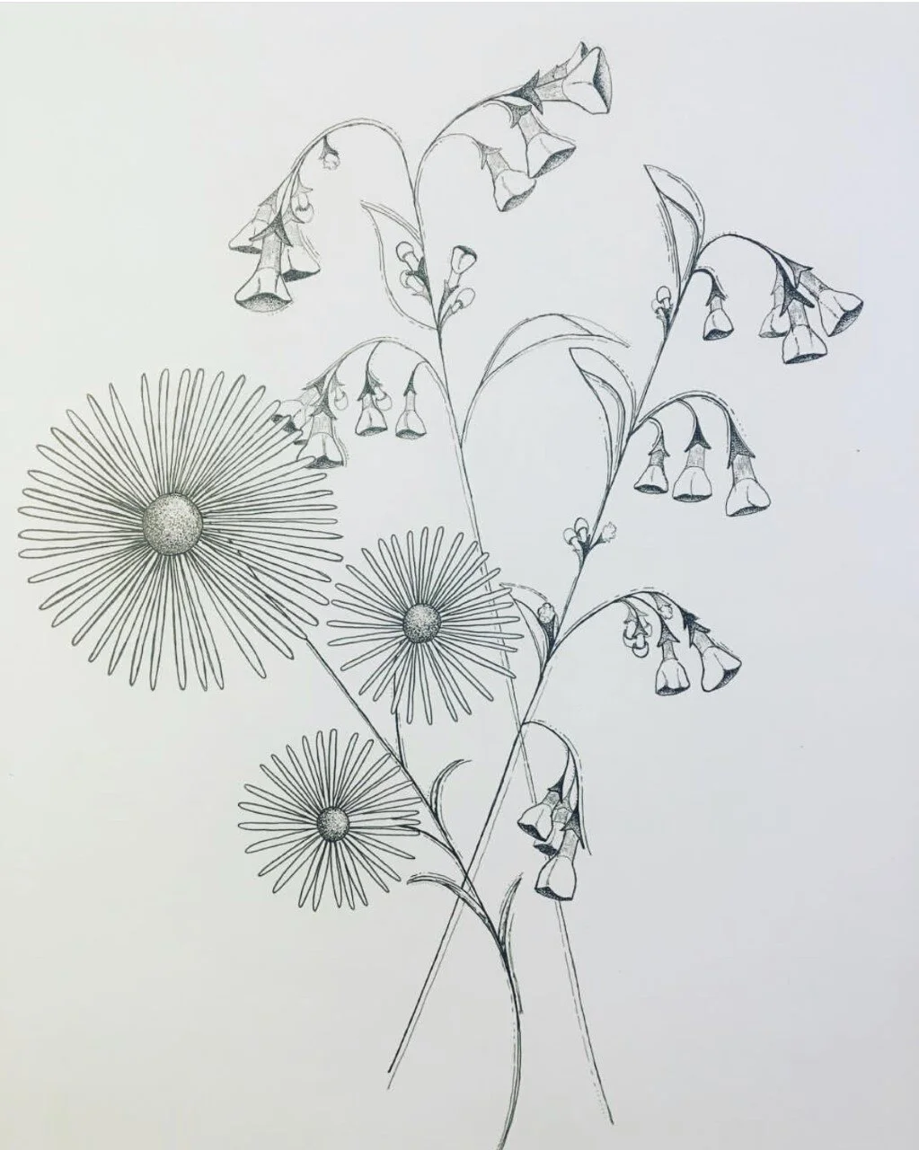 flowers2.jpg