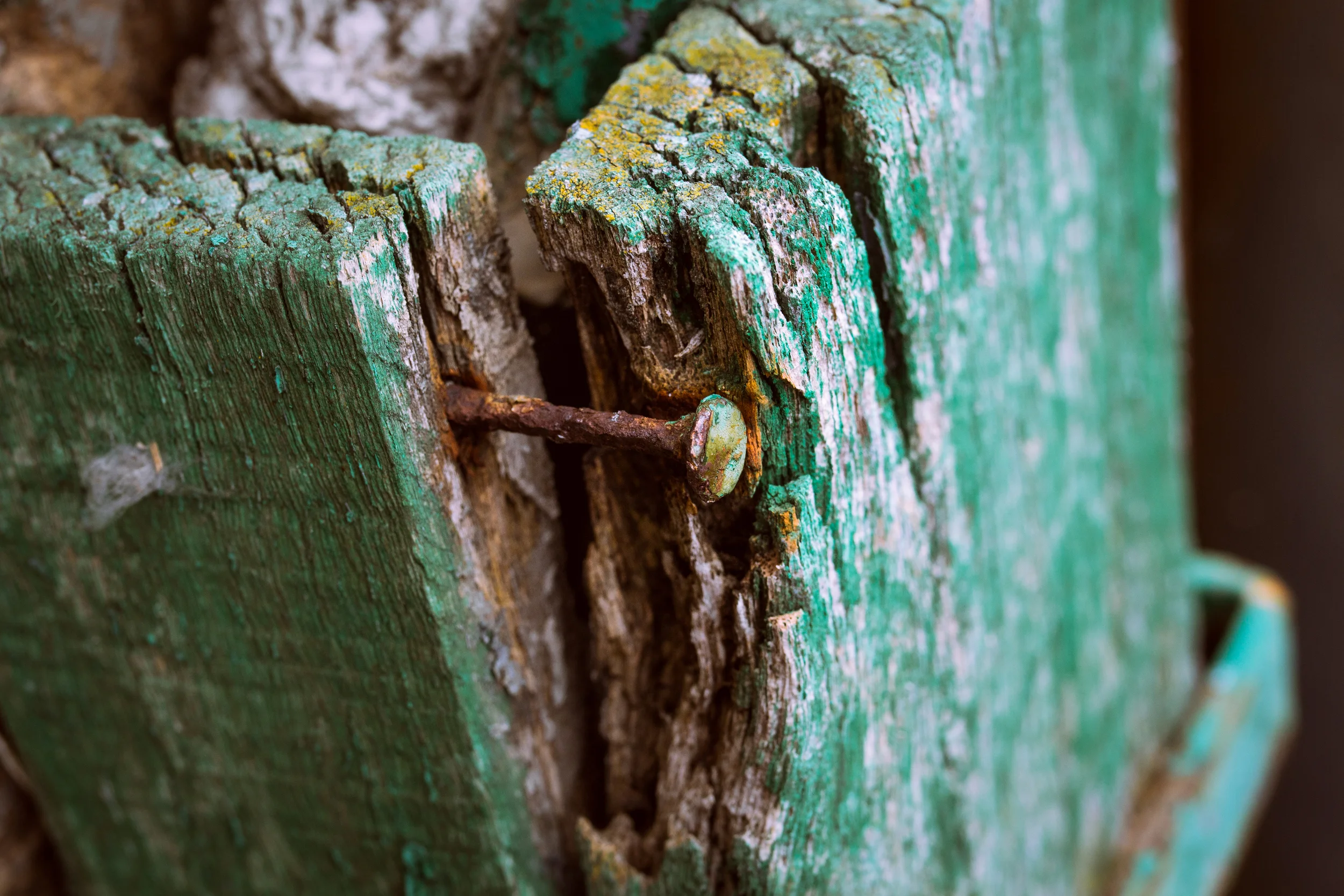 Nail, Howth 2016