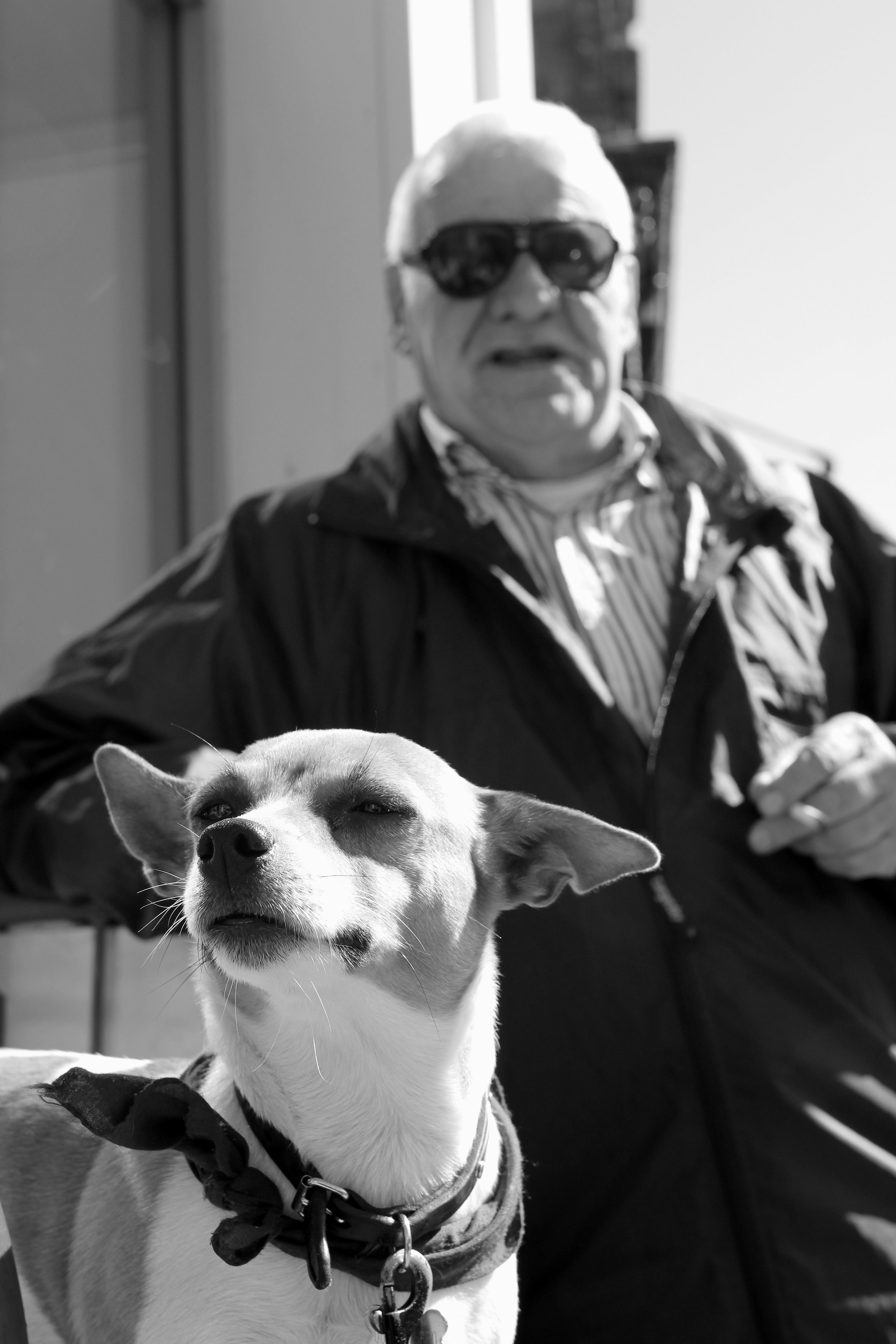 Mick O'Driscoll & Lily, Harold's Cross 2015
