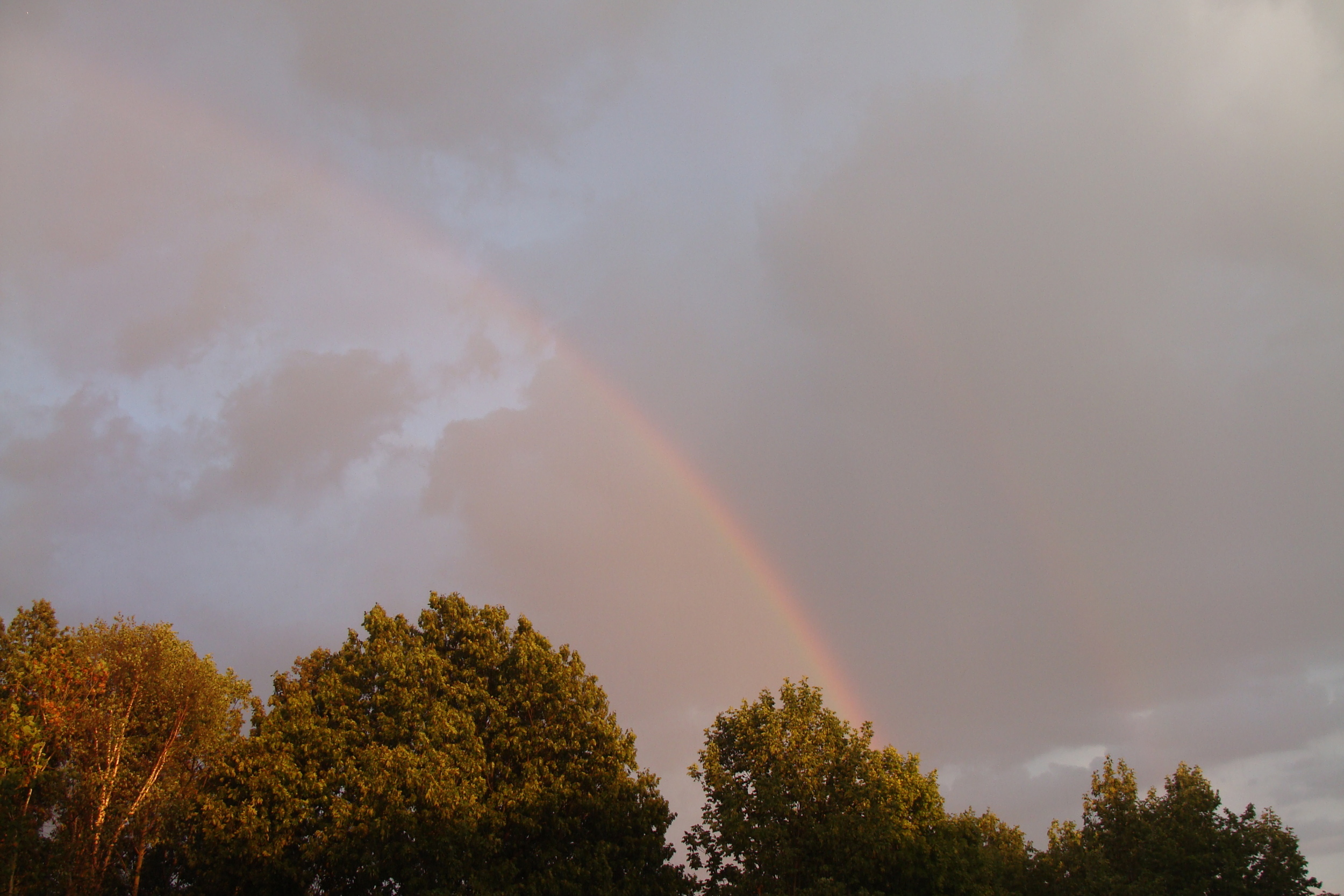 Peace After the Storm