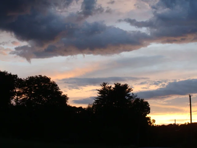 The Struggle Is Real