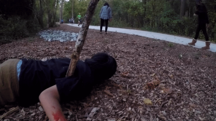 5k2019_01.gif