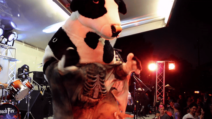 Cow2019_01.gif