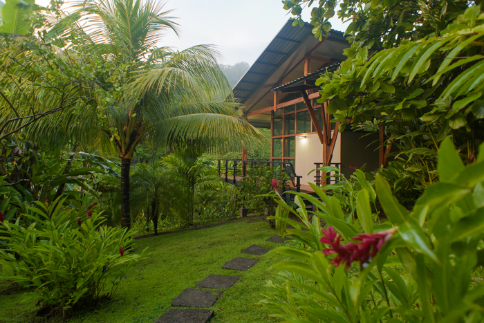 Best yoga teacher training certification program costa rica beach