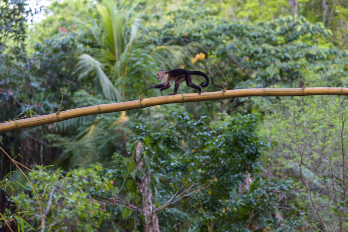 Modern accommodations yoga retreat teacher training costa rica