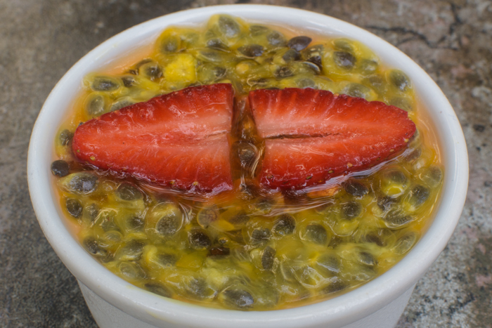 Gourmet Organic Vegan Gluten-free vegetarian cuisine yoga retreats costa rica
