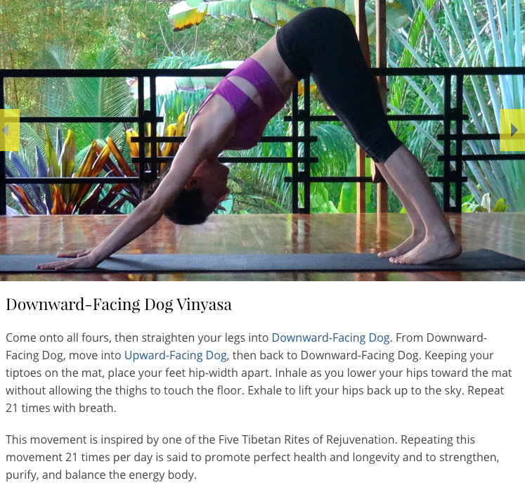 How to Start a Yoga Journal • Yoga Basics
