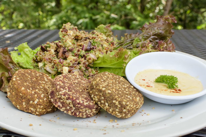 Best Costa rica yoga retreat serving vegetarian vegan organic food