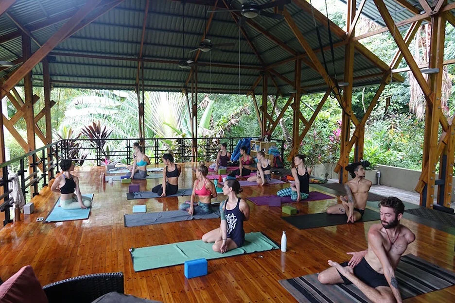 liz-bharadvajasana-sage twist.jpg