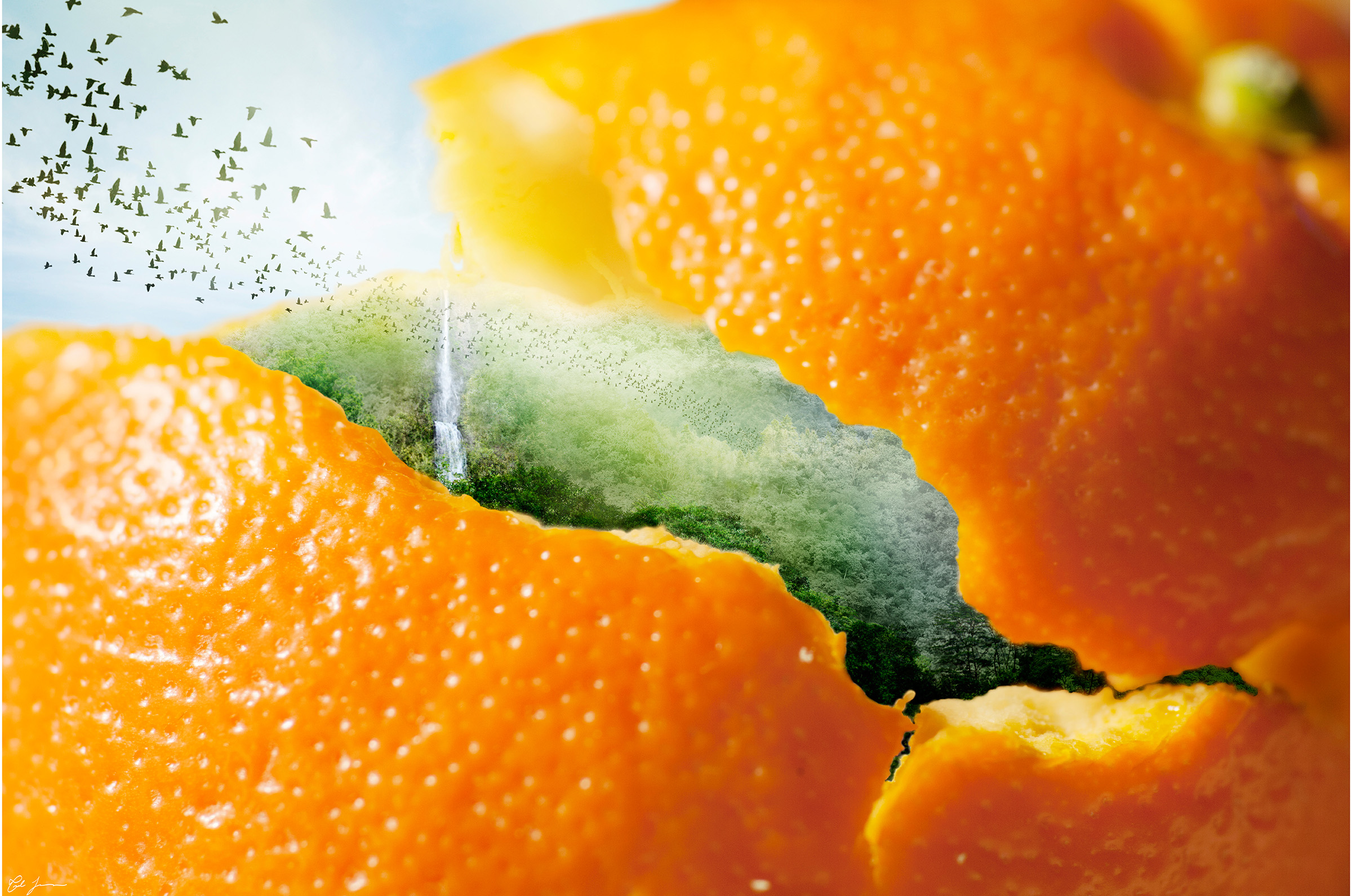  2016  Photographic collage. Inkjet print,&nbsp;face-mounted to acrylic.  40" x 30" 