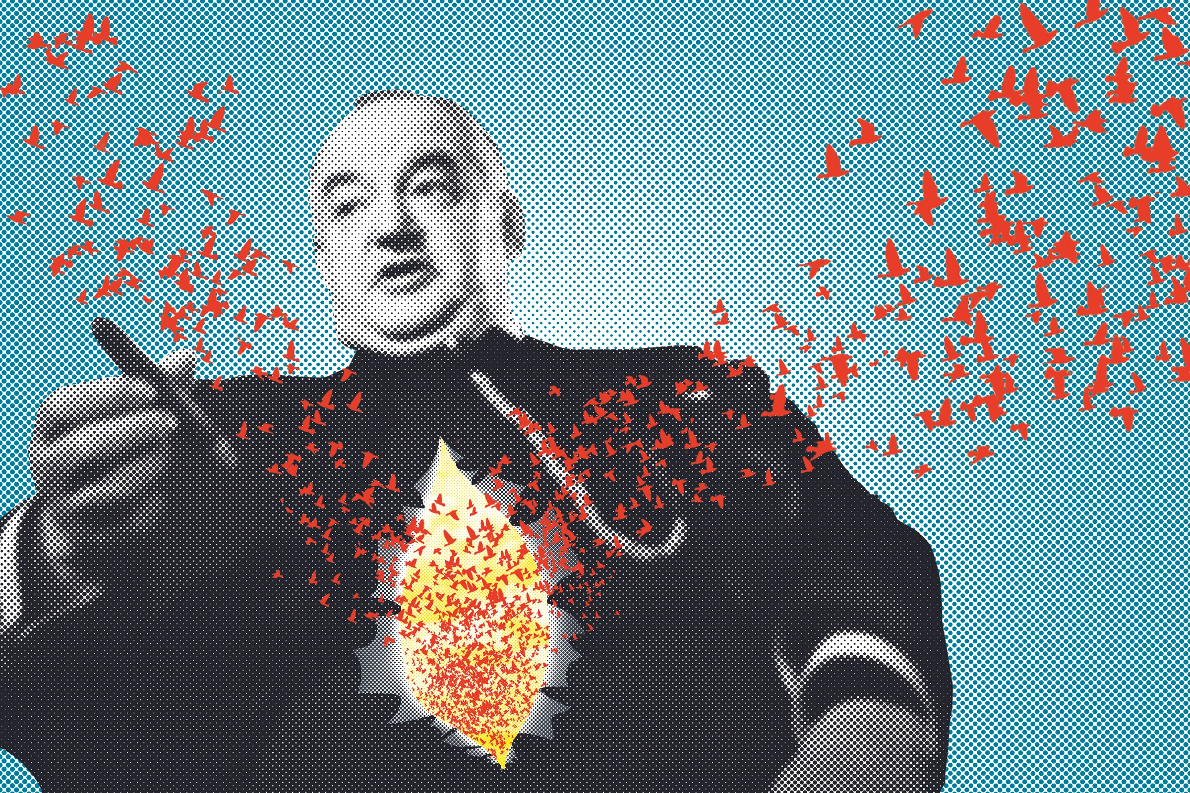  2016  Photographic collage 