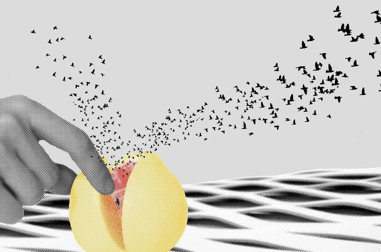  2009  Photographic collage 