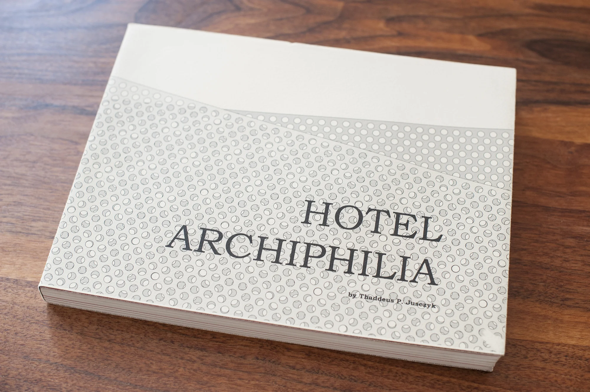 Hotel Archiphilia: an Illustrated Novel