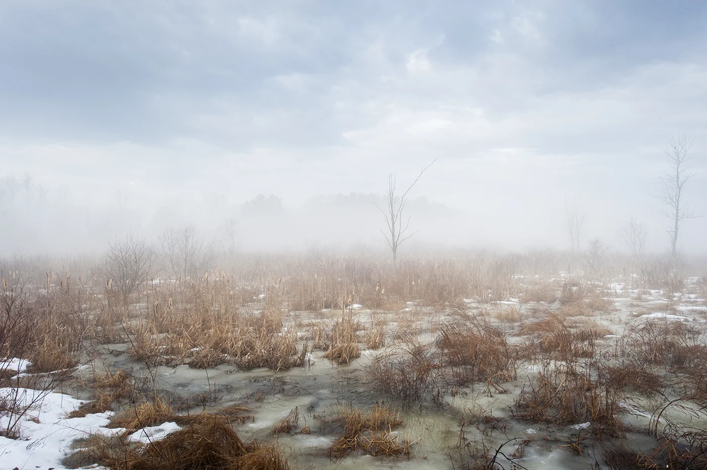 DSC_5751.jpg