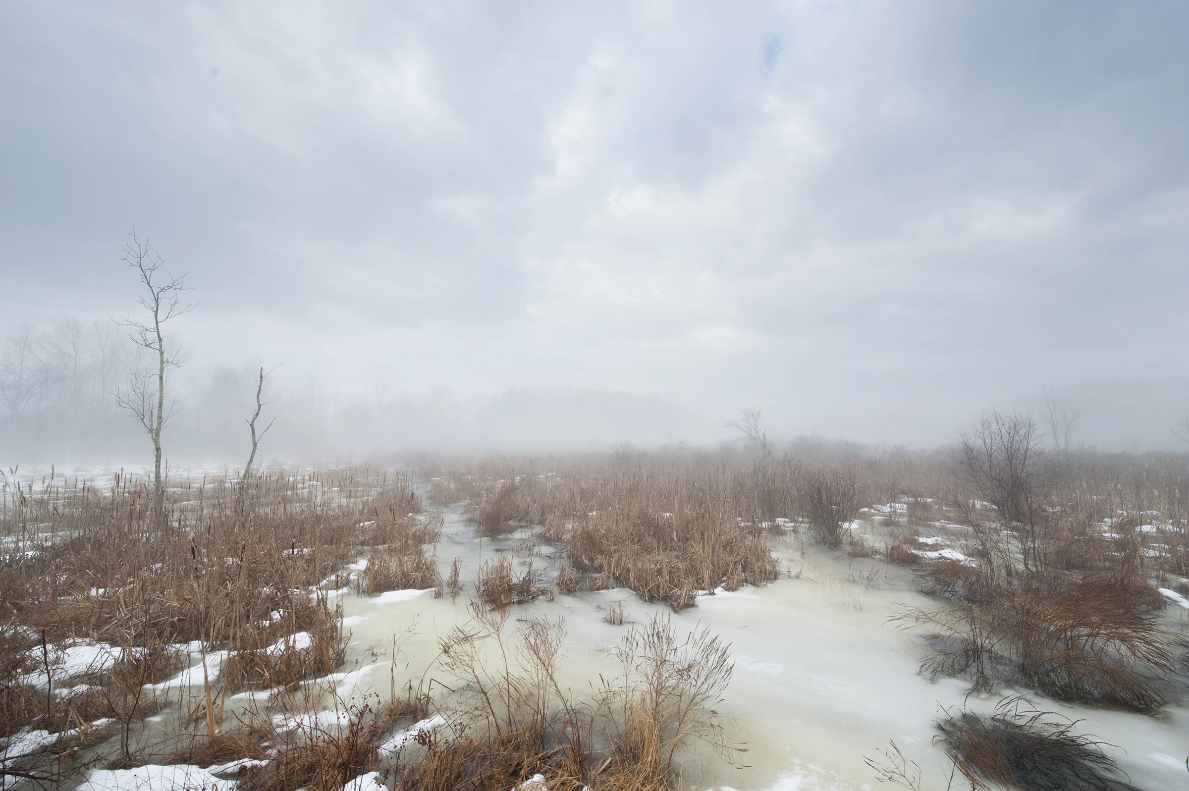 DSC_5769.jpg