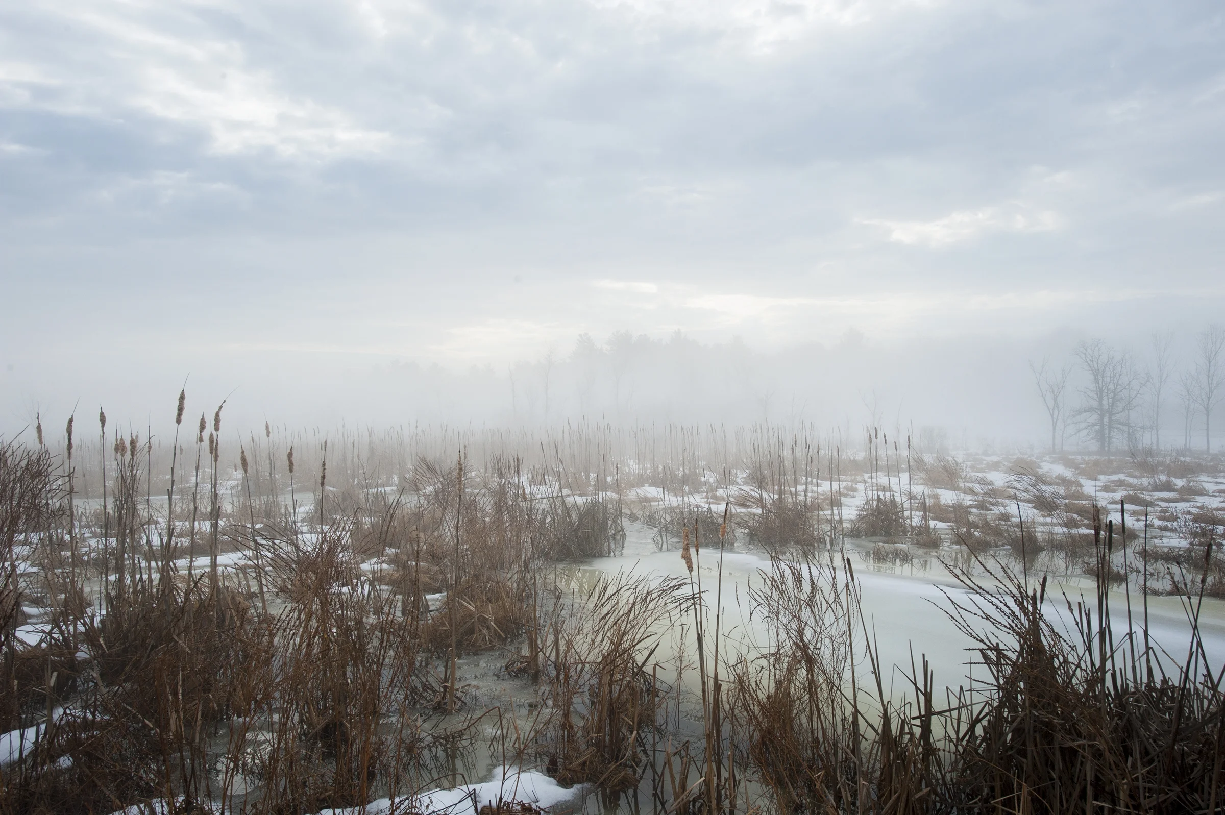 DSC_5760.jpg