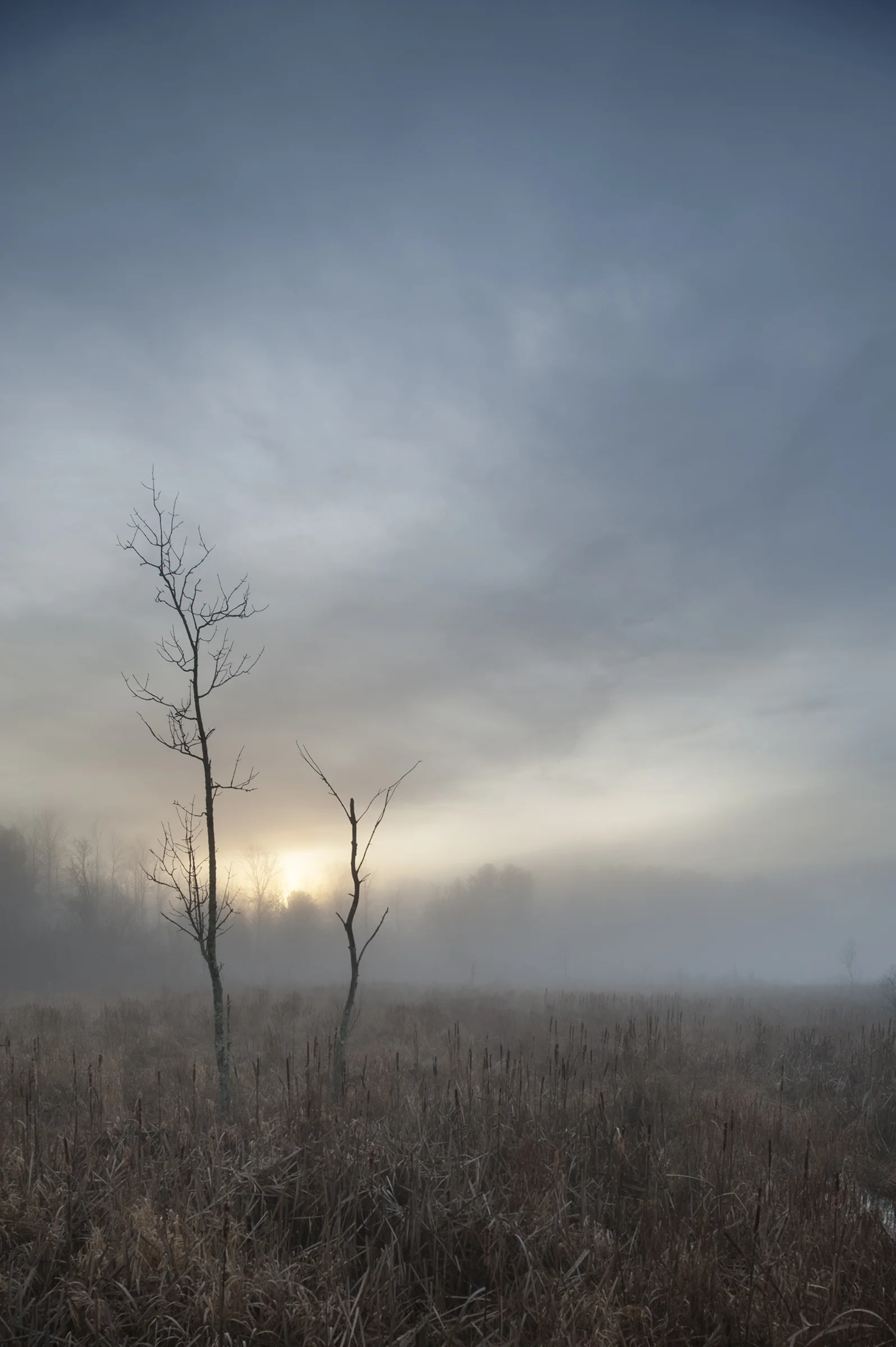 DSC_2629.jpg