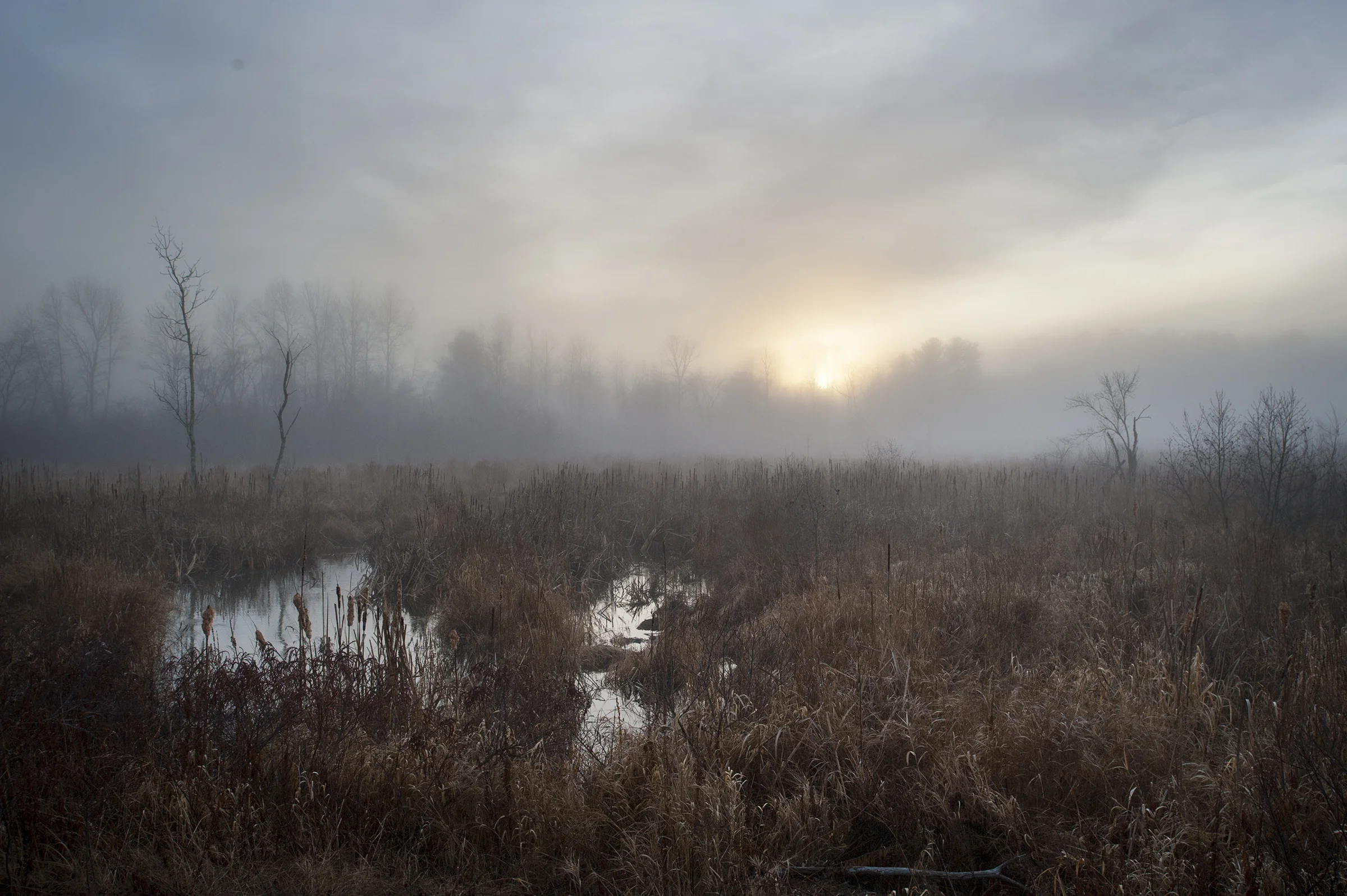DSC_2623.jpg