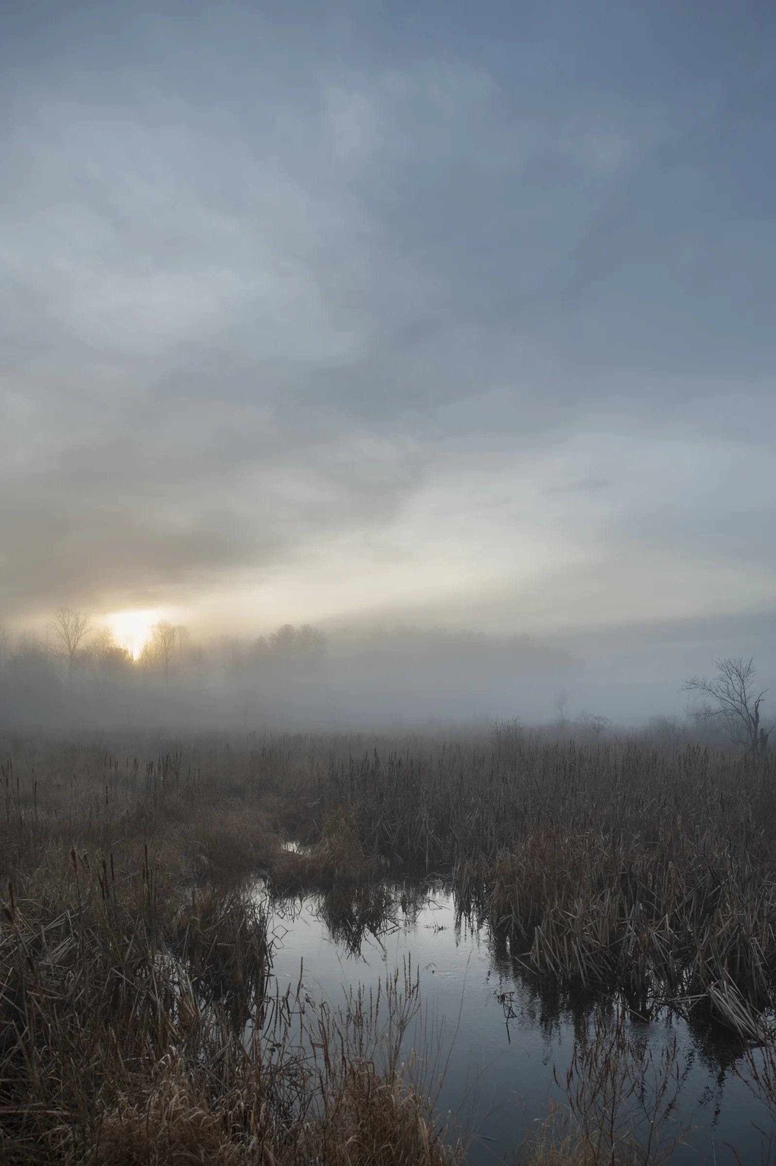 DSC_2634.jpg
